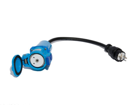 Fiche NF - Femelle DS1