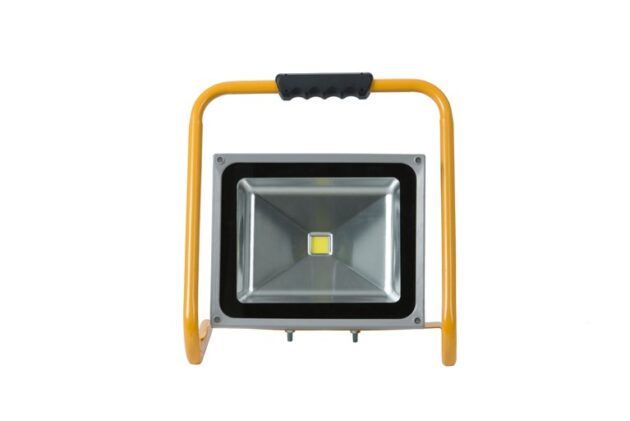 Projecteur portable LED 250V DS1